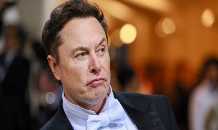Elon Musk envió una carta a Twitter con nuevas razones para declinar la compra de la red social