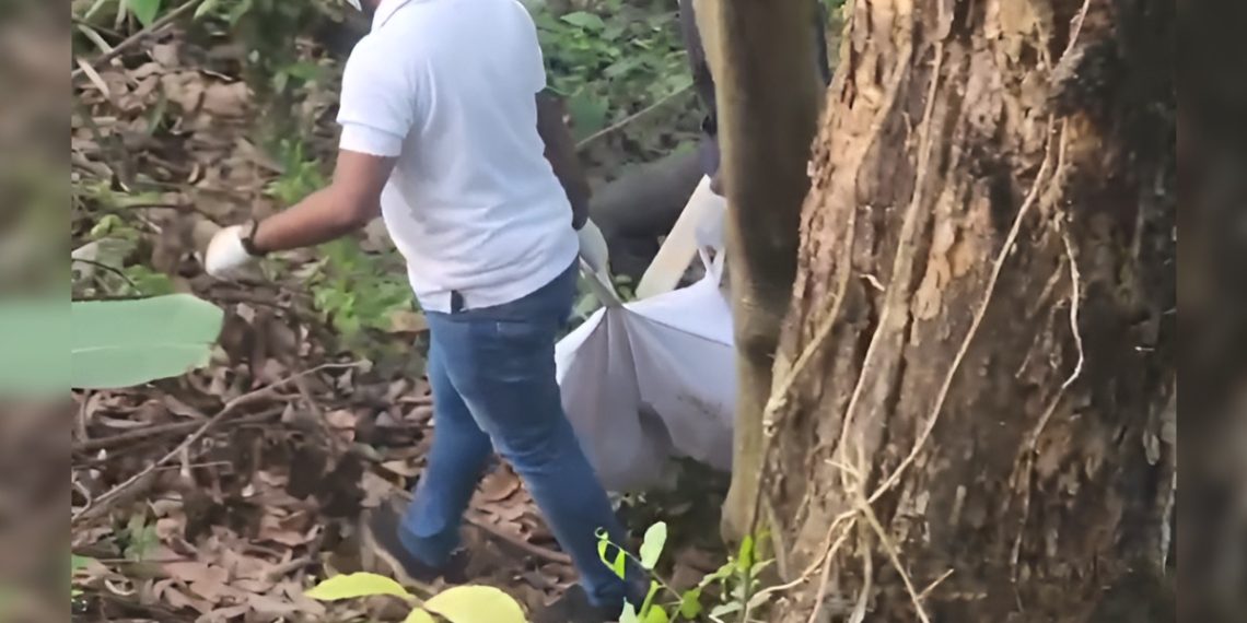 Hallan a mujer y su hijo sin existencia en Neiba, Bahoruco