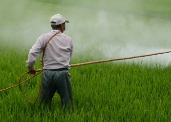 Más afectados: estudiantes y embarazada en escuela de Sabana Grande de Boyá