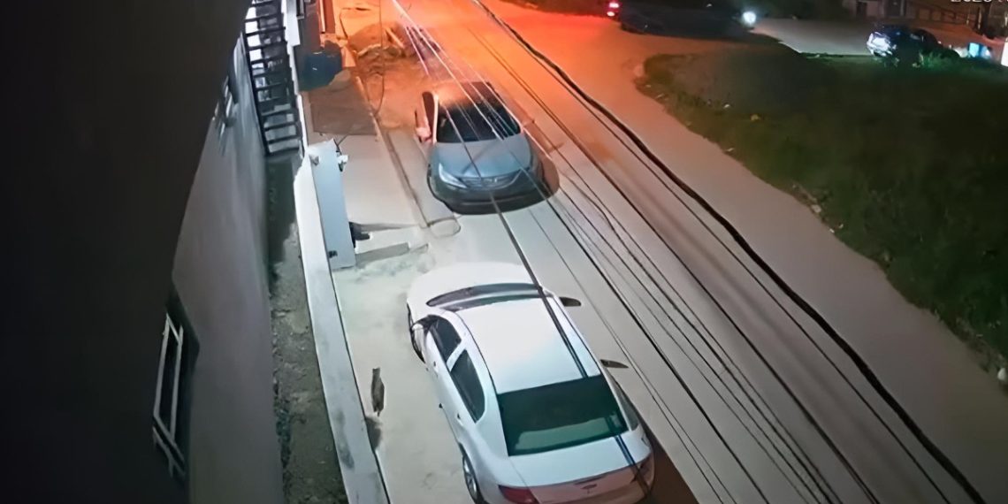 Incidente en comunidad de Santiago genera amplia búsqueda oficial