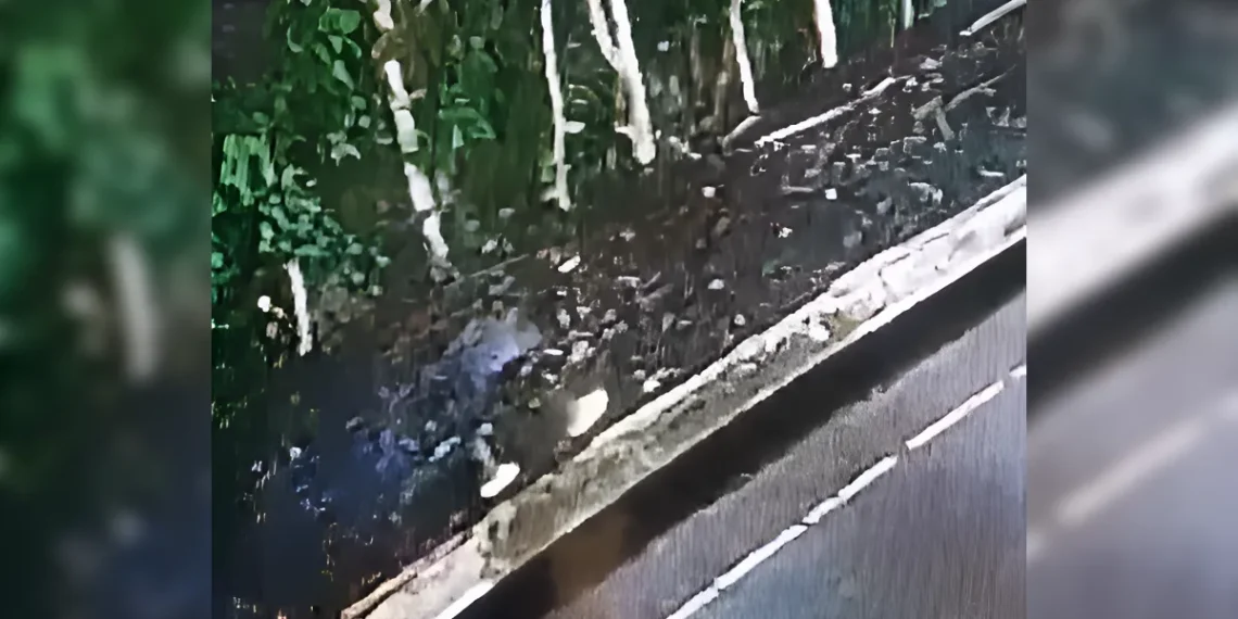 El caso del supuesto fantasma en Gina de Miches