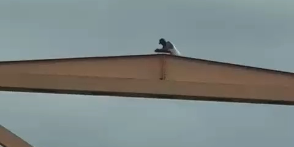 Hombre advierte con lanzarse del puente Hermanos Patiño en Santiago