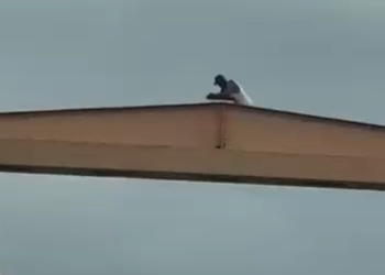 Hombre advierte con lanzarse del puente Hermanos Patiño en Santiago