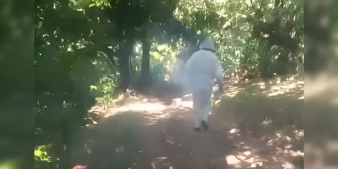 Hombre queda sin aliento en Navas tras incidente con abejas