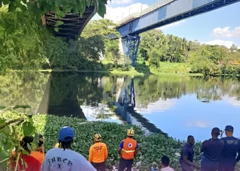 Lo que informan sobre motorista vinculado a percance vial en puente de la capital
