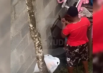 Video genera preocupación por trato a pequeño en La Ureña