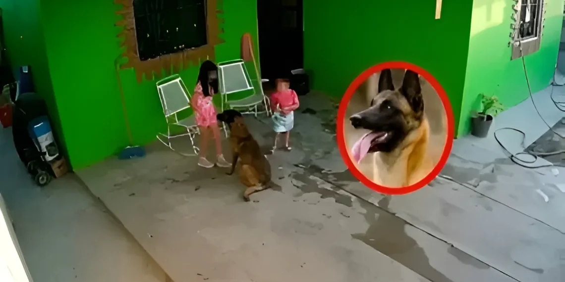 Pequeña recibe cuidado inmediato tras incidente en Frontera, Coahuila